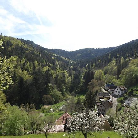 Studio A Murbach Au Calme Экстерьер фото