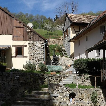 Studio A Murbach Au Calme Экстерьер фото