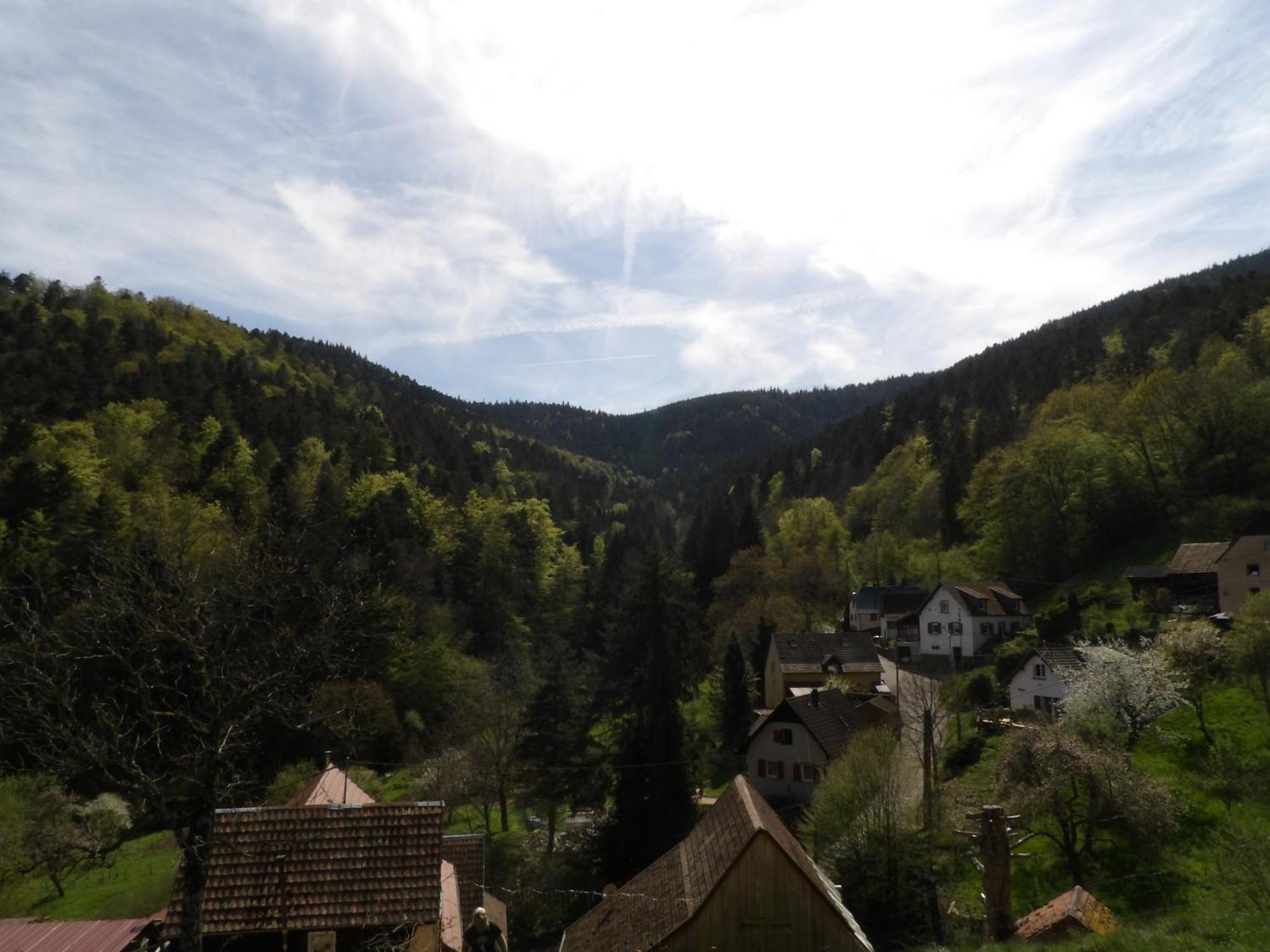 Studio A Murbach Au Calme Экстерьер фото